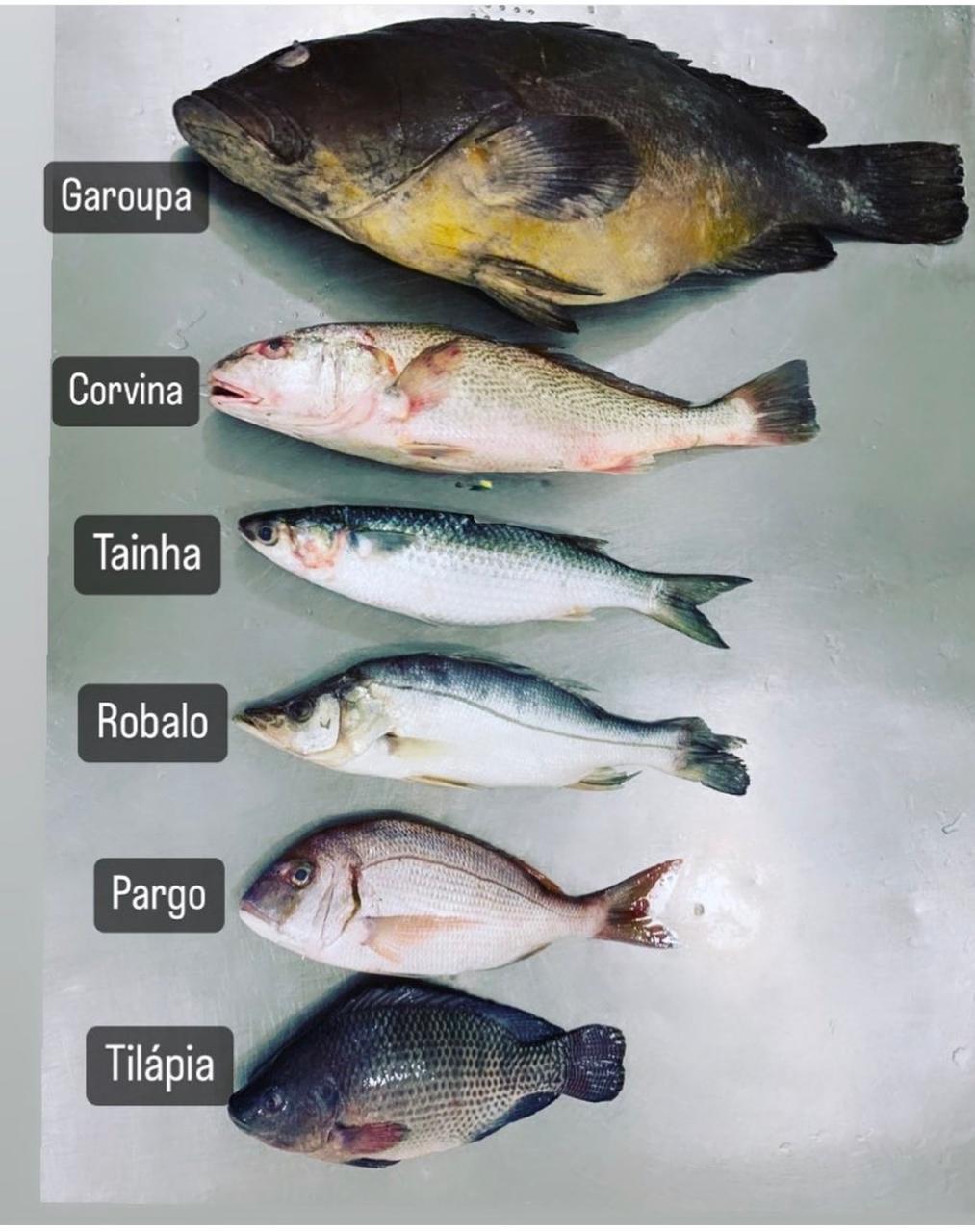 Produtos premium da MM Pescados